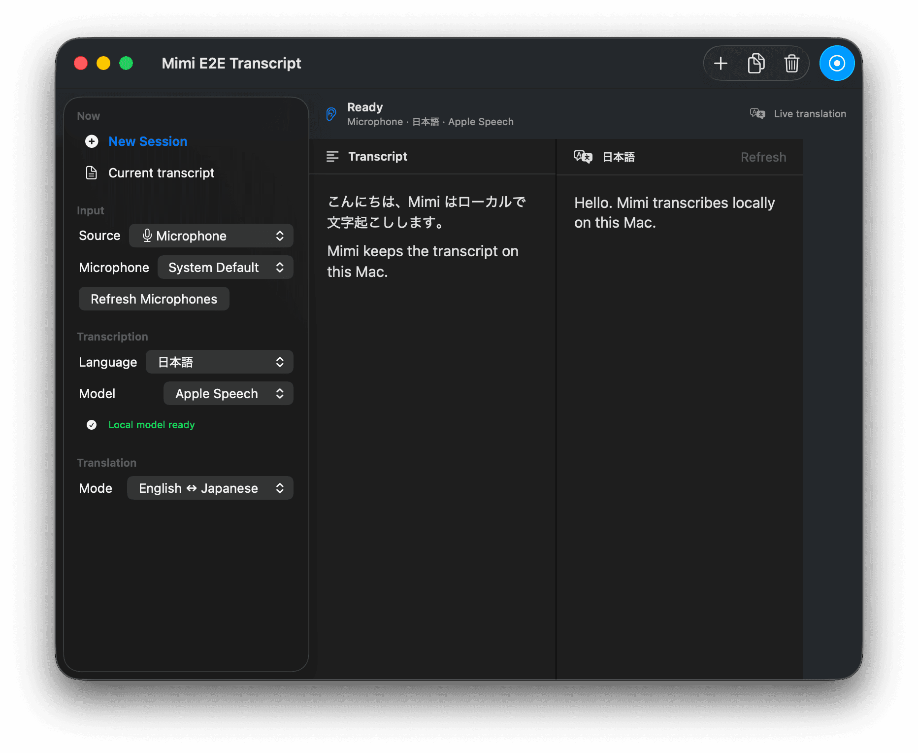 Mimi project preview